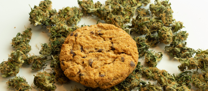 marijuana edible cookie