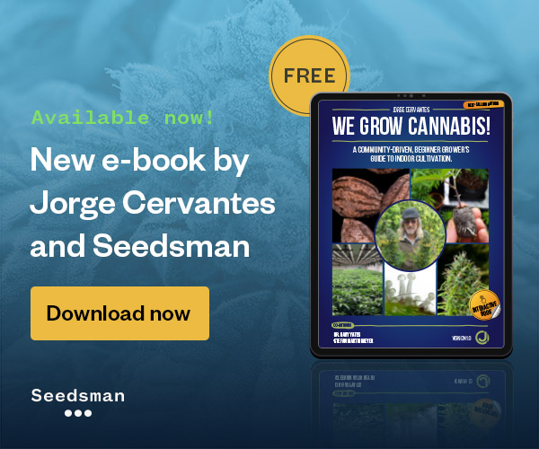 Download the New eBook Now!